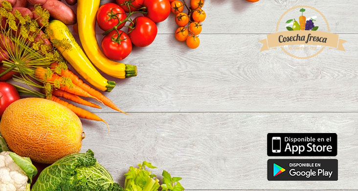 10% de dto en el total de la compra + envío gratis. Compra mínima $100.000